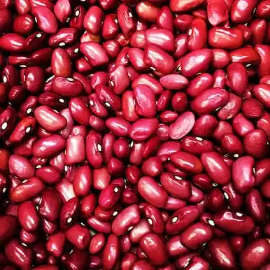 Frijoles rojos secos 25kg 50kg-Comprar Frijoles moteados, Frijoles negros mexicanos