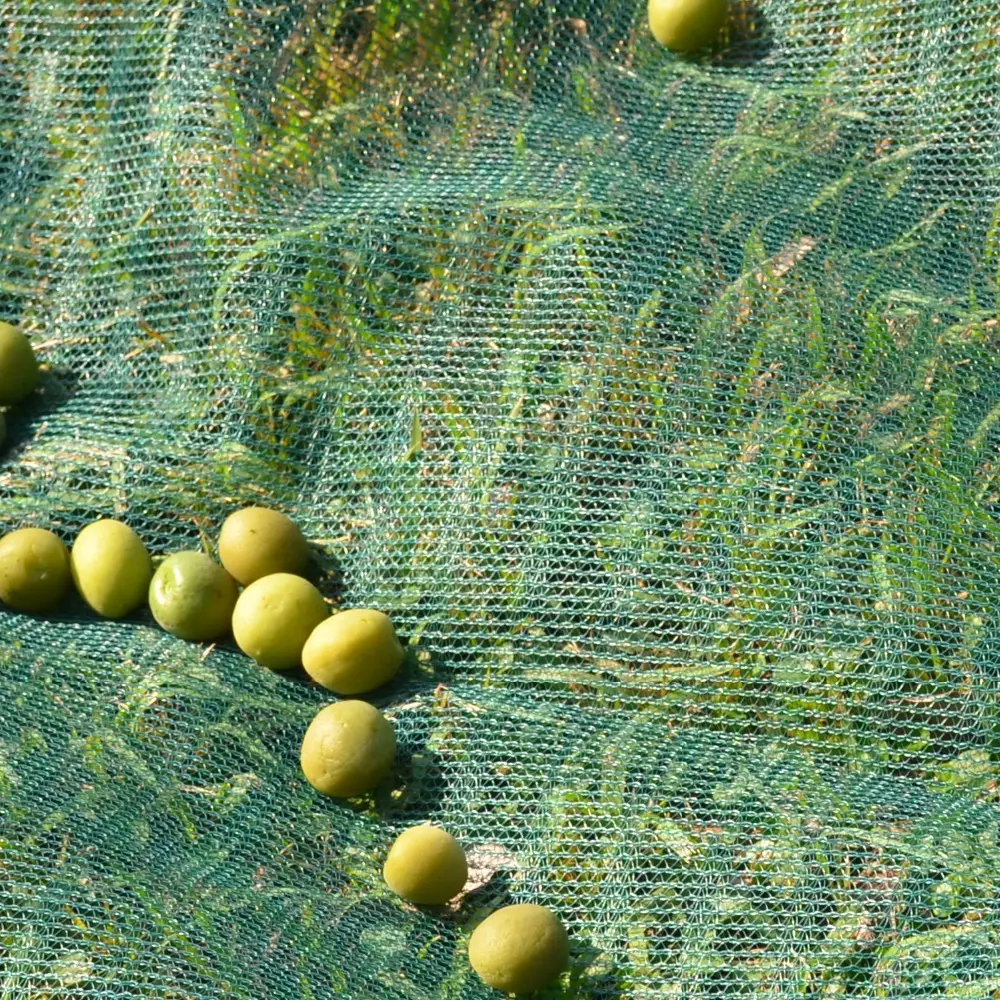 BEST SUPPLIER AOLIVE HARVESTING NET with high Quality Nets raw Matterials Made in Turkey with Certified
