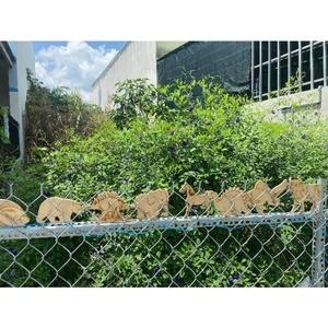 動物の多様性が異なる木製動物/動物の形をした木製の子供のおもちゃ木製のおもちゃ
