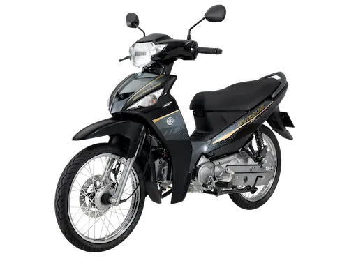 Vietnam new motorcycles 115CC disc brave