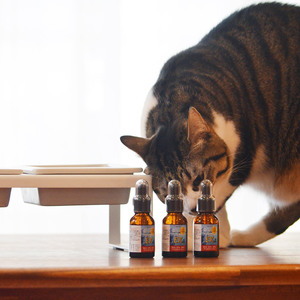 Japon yapımı özelleştirilebilir lezzet yağ kapsülleri köpekler kediler için doğal sağlık yapışmalı Pet takviyeleri Pet sağlık takviyeleri - Product Image 5