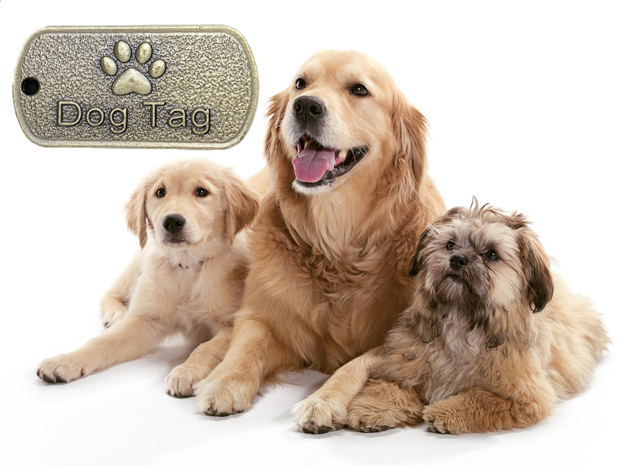 Pour les produits pour animaux de compagnie