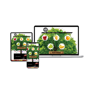 E-commerce Site Order Confirmation Setup Mini Site <strong>User</strong> Registration Process Product Affiliate <strong>Program</strong> Setup E-commerce Site - Product Image 3
