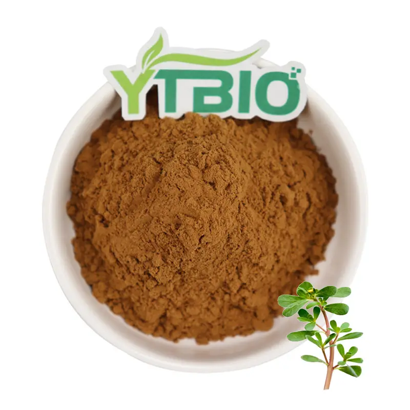 Ytbio cung cấp tinh khiết bacopa monnieri chiết xuất bột