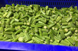 冷凍オクラで高繊維低カロリーで使いやすい大量包装 - Product Image 3
