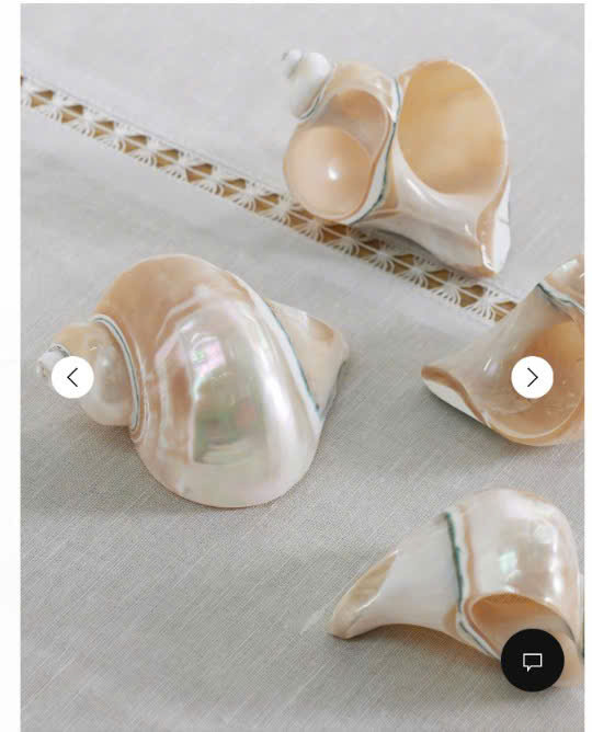 White Conch