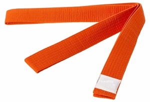 Yetişkinler BJJ kemerler özel Logo BJJ Gi kemer brezilyalı Jiu Jitsu Judo dövüş sanatları Karate rütbe kemerler