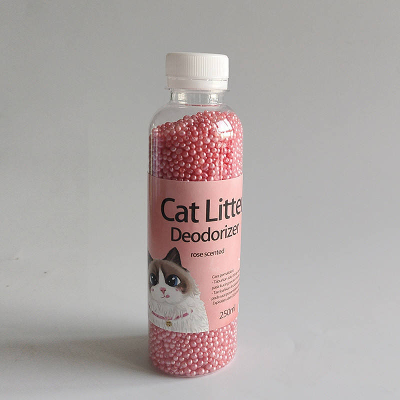 กุหลาบสีชมพู