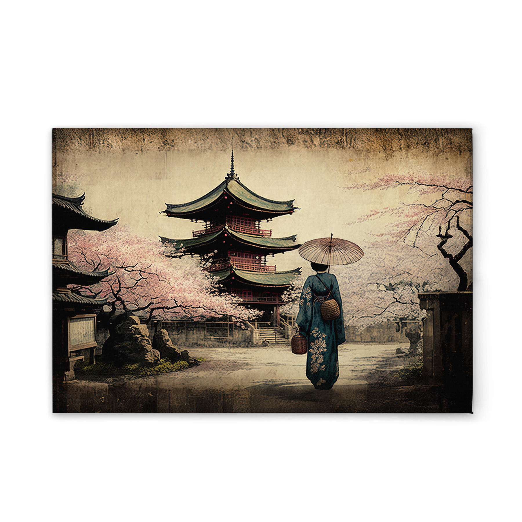 Beige, Bleu, Noir, Rose