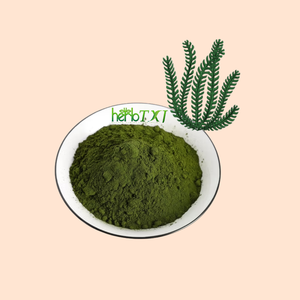 Bubuk klorella Vulgaris ekstrak Food Grade, bubuk klorella organik - Product Image 1
