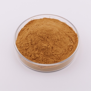 हर्बल अर्क एंजेलिका साइनस रूट सबसे अच्छी कीमत एंजेलिका अर्क 10:1 कई विनिर्देशों - Product Image 2