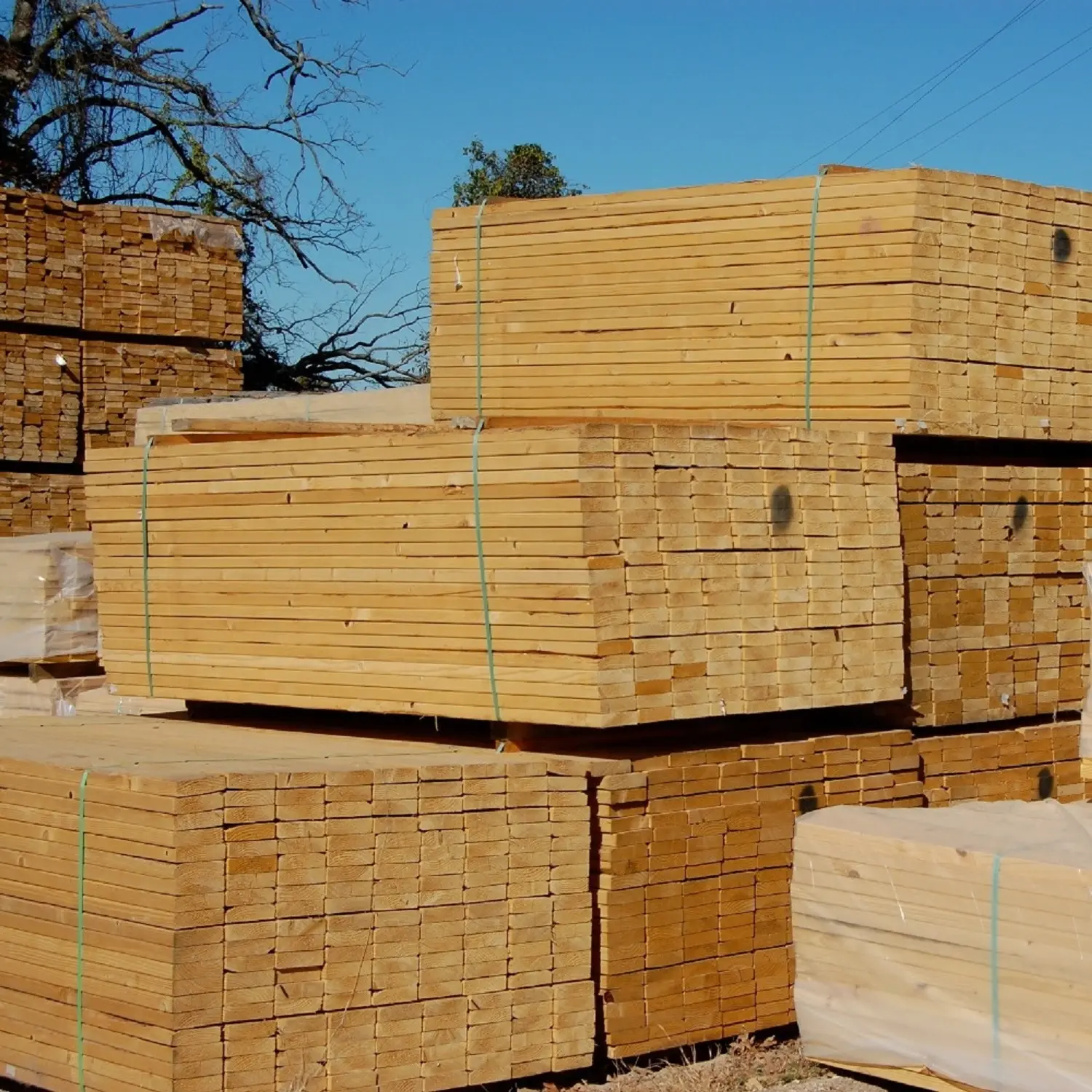 Troncos de abeto de cedro y madera para construcción, 2x4