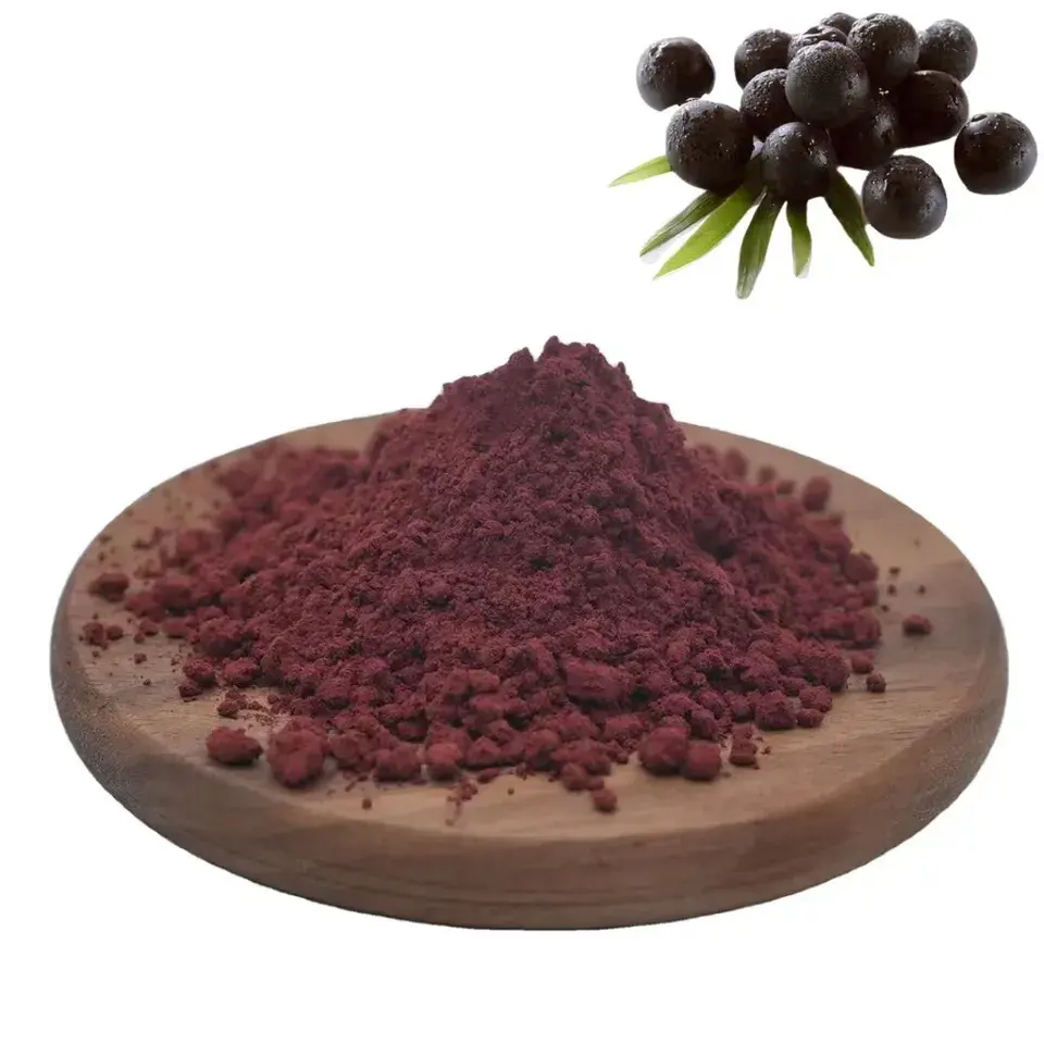 Fabrika kaynağı Acai Berry meyve tozu 100% doğa Acai kurt üzümü suyu konsantre toz Aronia Berry tozu