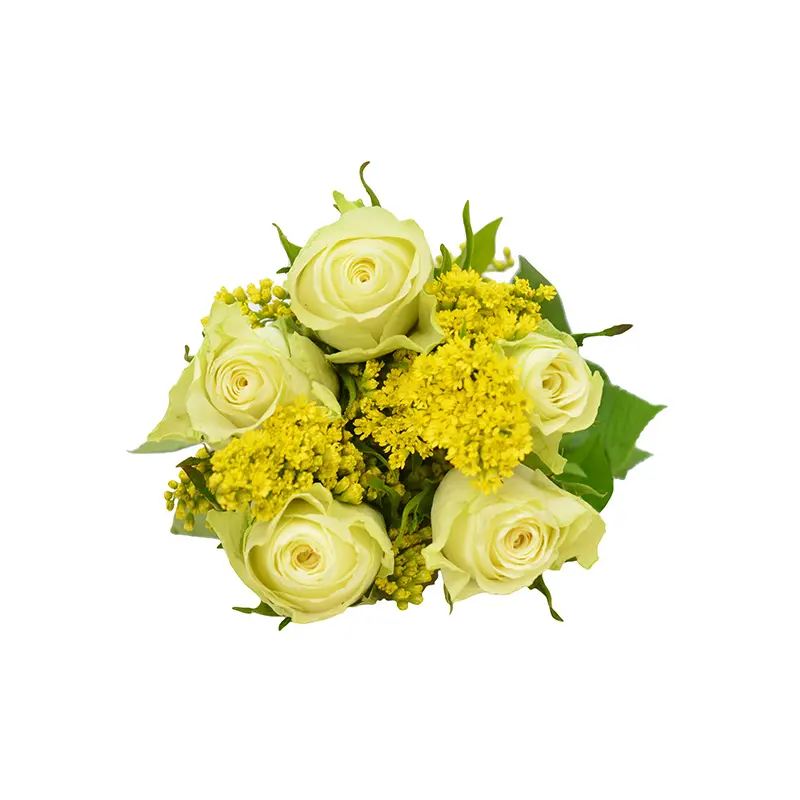 Best Selling Quênia Fresh Cut Flowers Rose Bouquet Solidago e White Rose Bouquet Flores Todas as cores Varejo Atacado