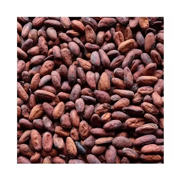 Granos de cacao Ariba Granos de cacao crudos secos