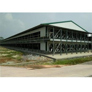 Kế hoạch xây dựng trang trại gia cầm Gà trang trại nhà để 10000 gà chuồng gà thương mại - Product Image 1