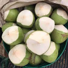 Ganze Kokosnuss Genießen Sie erfrischendes Kokos wasser und weiches Fleisch aus frischen, hand verlesenen Thai-Kokosnüssen.