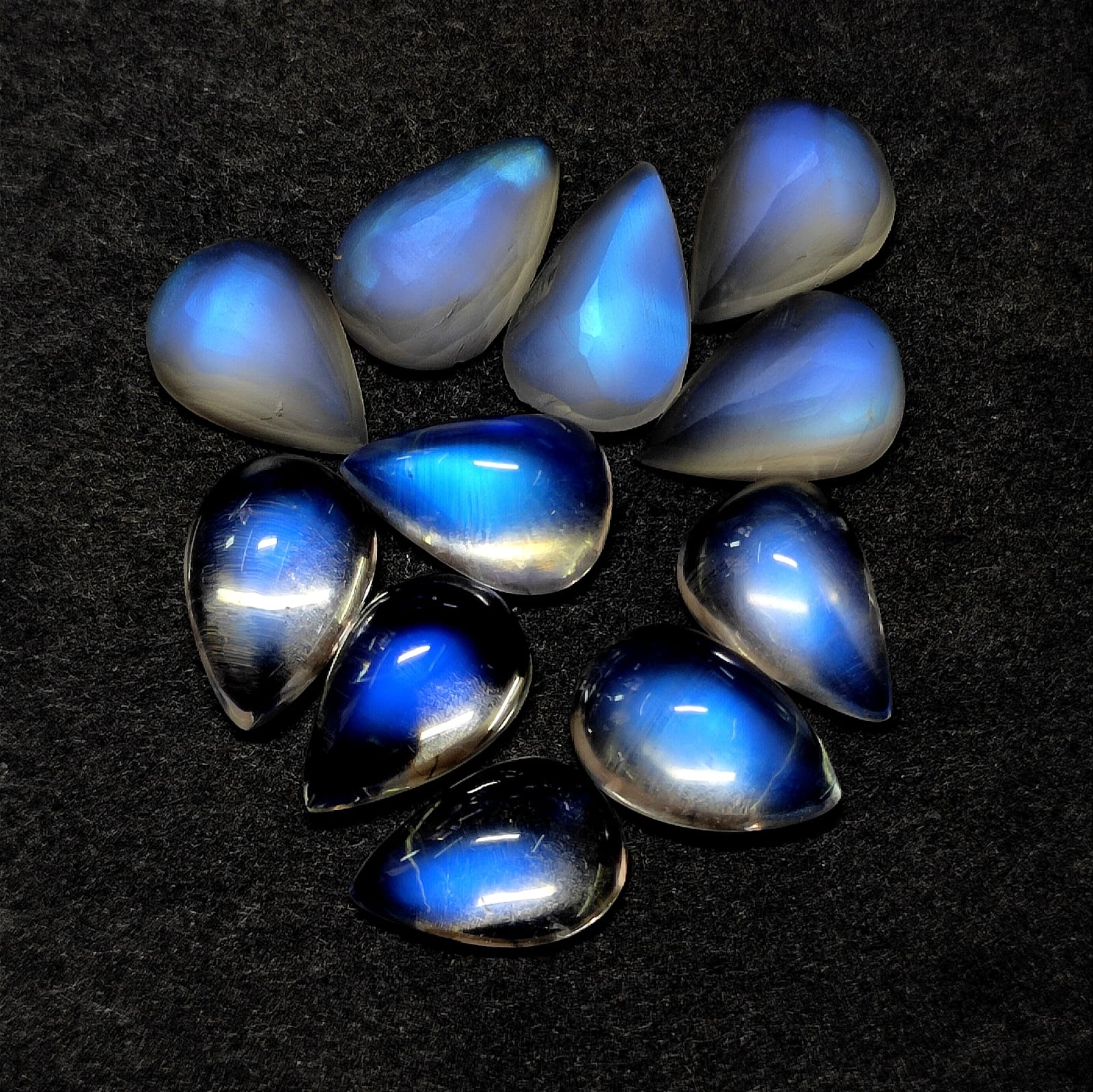 Bleu