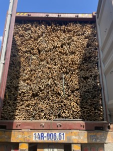 天然竹桩90-300厘米竹藤竹竿天然直建筑8米 (未处理)