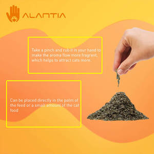 Customized Ease Anxiety Pleasant Mood Pure Natural <strong>Catnip</strong> Pet Chew Cat Dust Leaf Toys - Product Image 4