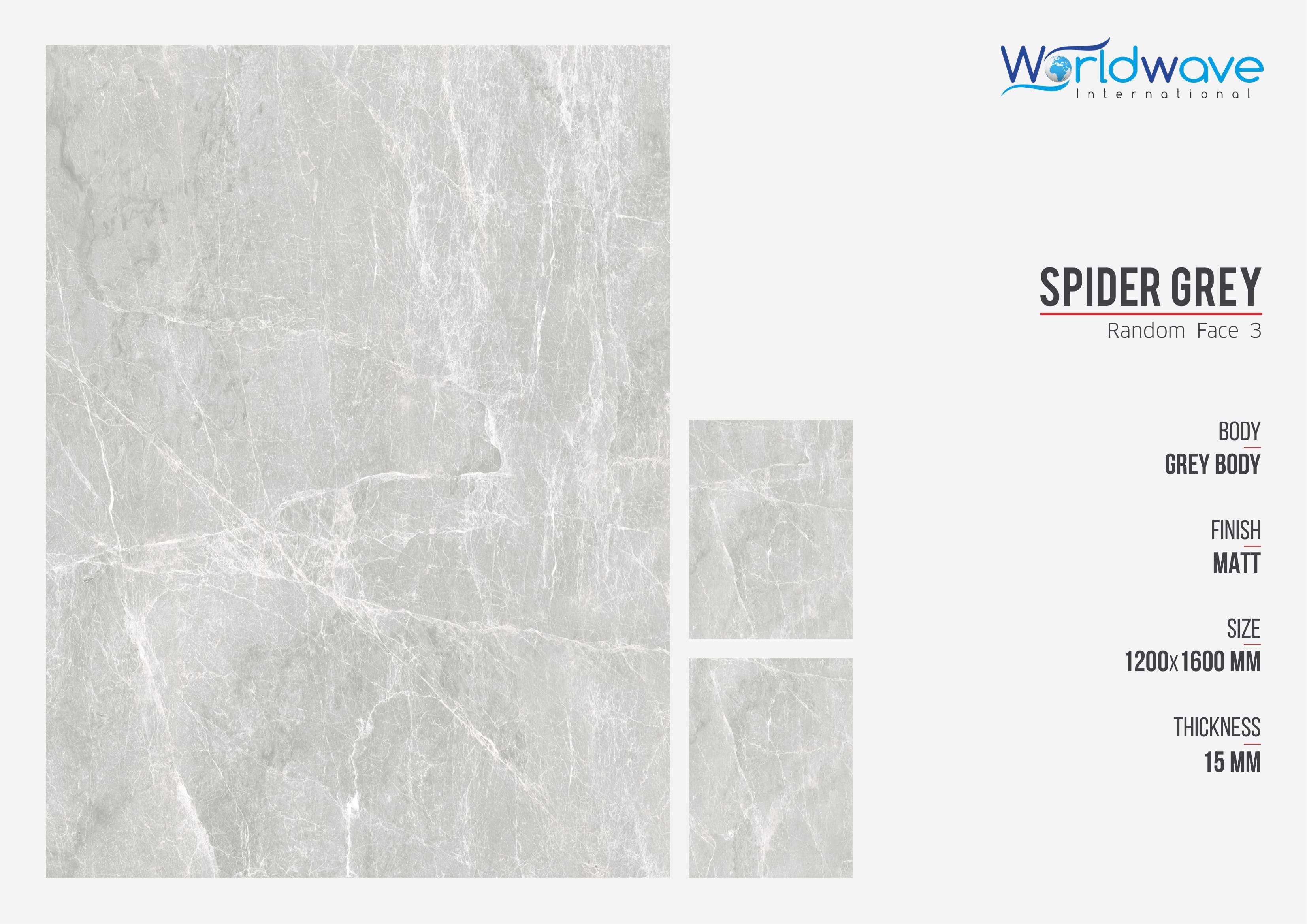 SPIDER GREY