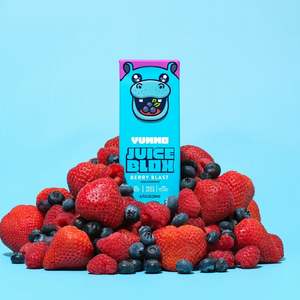 JuiceBlox <strong>Berry</strong> <strong>Blast</strong> Yummo 200ml (USA) - Product Image 2