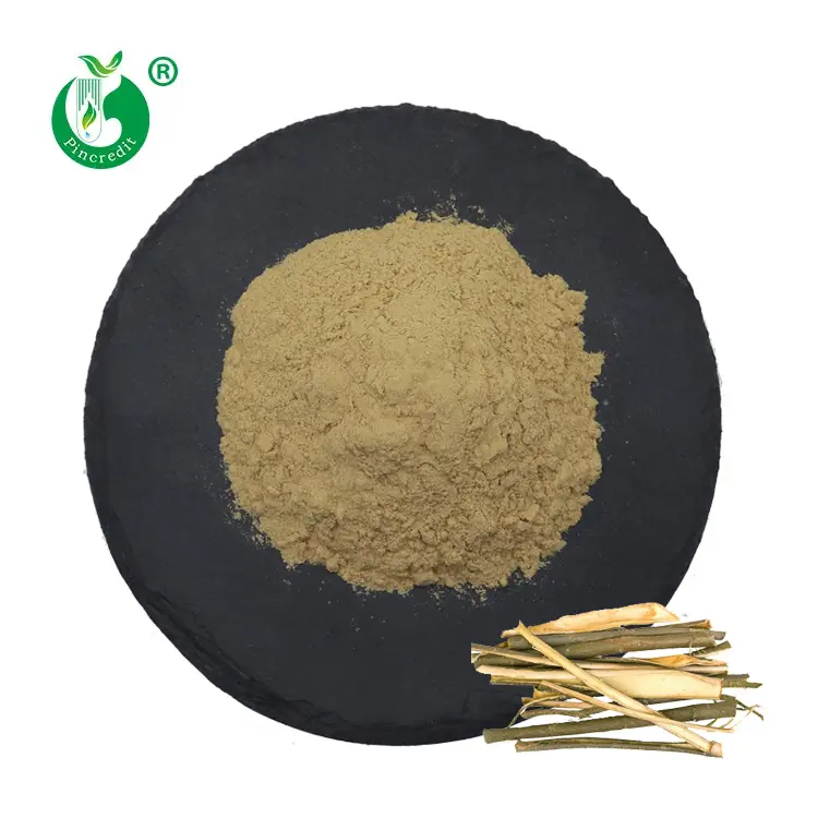 Pin credit Bulk Salix Alba Rinden extrakt 50% White Willow Bark Extract Powder