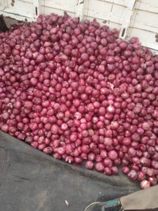Wholesale Bulk Stock Fresh Red Onion Ton Price New Season Red Onion 5-7cm / Fresh Onion Import Export - Product Image 2