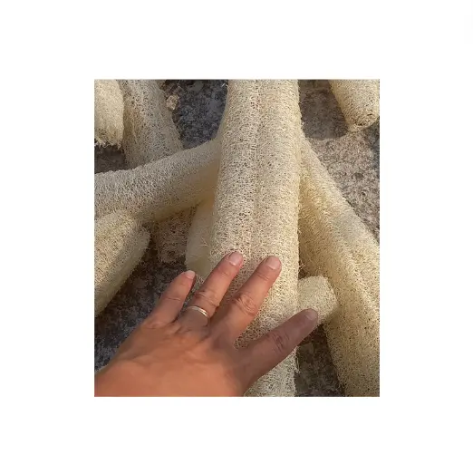 Loofah essiccata, spugne naturali biodegradabili di luffa intere essiccate luffa buon prezzo dal Vietnam
