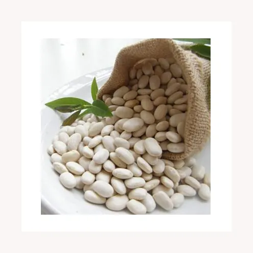 Cheap Wholesale Top Quality White Kidney Beans Em Massa Feijão Branco Seco Orgânico Venda Quente Feijão Branco Seco