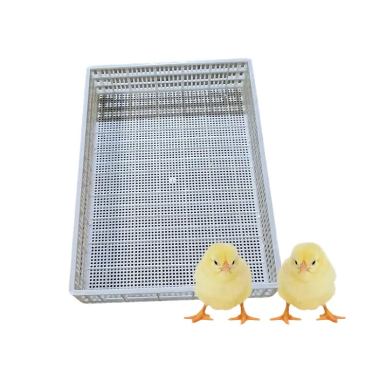 Plastic Slat Floor Roll Good Price Secure For Chicken Poultry Farming Equipment Customization Vietnam Manufacturer
