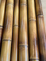 Çeşitli kullanımlar için mükemmel çevre dostu bambu tüpler, Viet nam'dan farklı boyutta bambu kazık ile tarım büyük