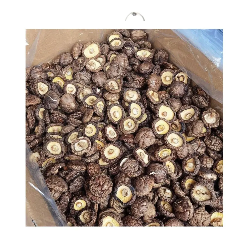 Cogumelo de ostra mais moderno cogumelo seco vietnamita Shiitake cogumelo seco Shiitake preço por kg