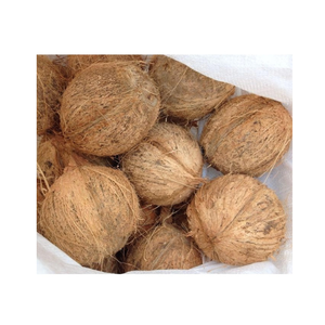 Semi husked <strong>coconut</strong> produced in coastal farms offered in uniform <strong>shape</strong> and moisture level optimal for overseas , domestic trade - Product Image 2