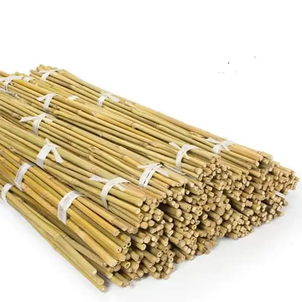 Estacas de bambú o bastón de bambú Precio barato Proveedor de Vietnam Bambú