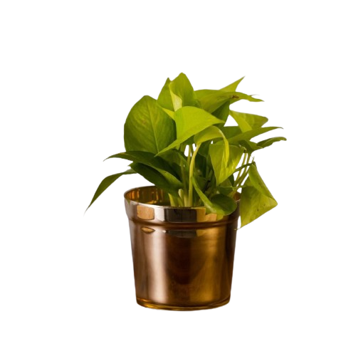 Adapté aux besoins du client