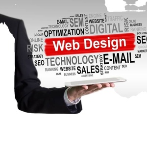 Professional <strong>Website</strong> <strong>Designing</strong> Services by Professional <strong>Website</strong> <strong>Designers</strong> Development <strong>and</strong> E Commerce <strong>Website</strong> - Product Image 1