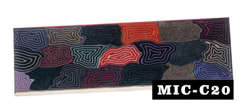 MIC-C20