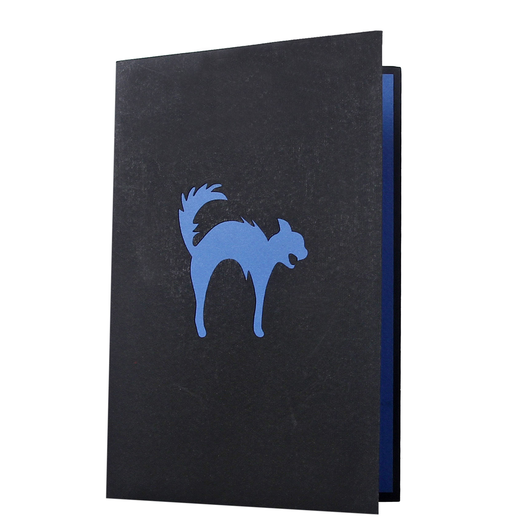 สีน้ำเงิน