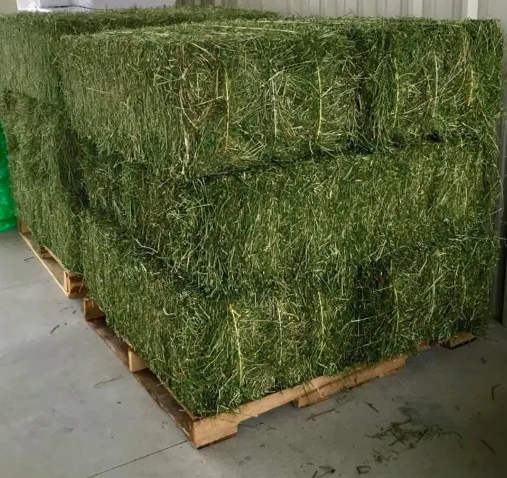 Affordable High-Quality Alfalfa And Timothy Hay For Animal Feed At Discounted Prices Best Animal Feeding Supplier