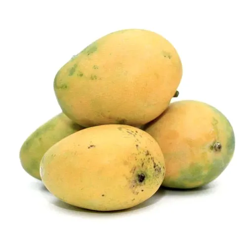 Natürliche frische Premium-Mangos 4 Sorten (Ataulfo, Kent, Keitt, Tommy Atkins)