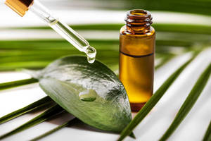 Saf çay ağacı saç cilt ve çivi artı aromaterapi ve doğal temizlik çözümü için uçucu yağ-100% saf çay ağacı yağı - Product Image 5