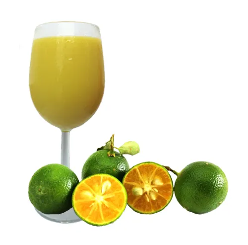 Bebidas Kumquats Suco de Limão Calambansi Congelado natural delicioso e saudável adiciona um sabor azedo aos alimentos e bebidas