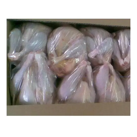 Quality Certified Halal Frozen Chicken Feet/ Chicken Wings/ Frozen Whole Chicken