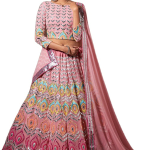Tasarımcı koleksiyonu 2025 düğün kıyafeti Lehenga Choli fantezi dantel nakış çalışmaları ile Dupatta hint tasarım - Product Image 1