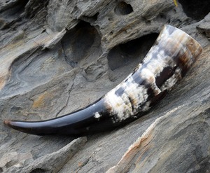 Nordic Drinking <strong>Horn</strong> Gift Set Viking Mead <strong>Cup</strong> with Adjustable Leather Strap &amp; Engraved Medieval Festival Barware Premium Ox <strong>horn</strong> - Product Image 2