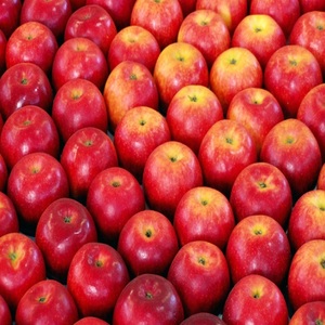Generic <strong>Red</strong> Delicious <strong>Apples</strong>, Fresh Natural Organic Fruits for Sale