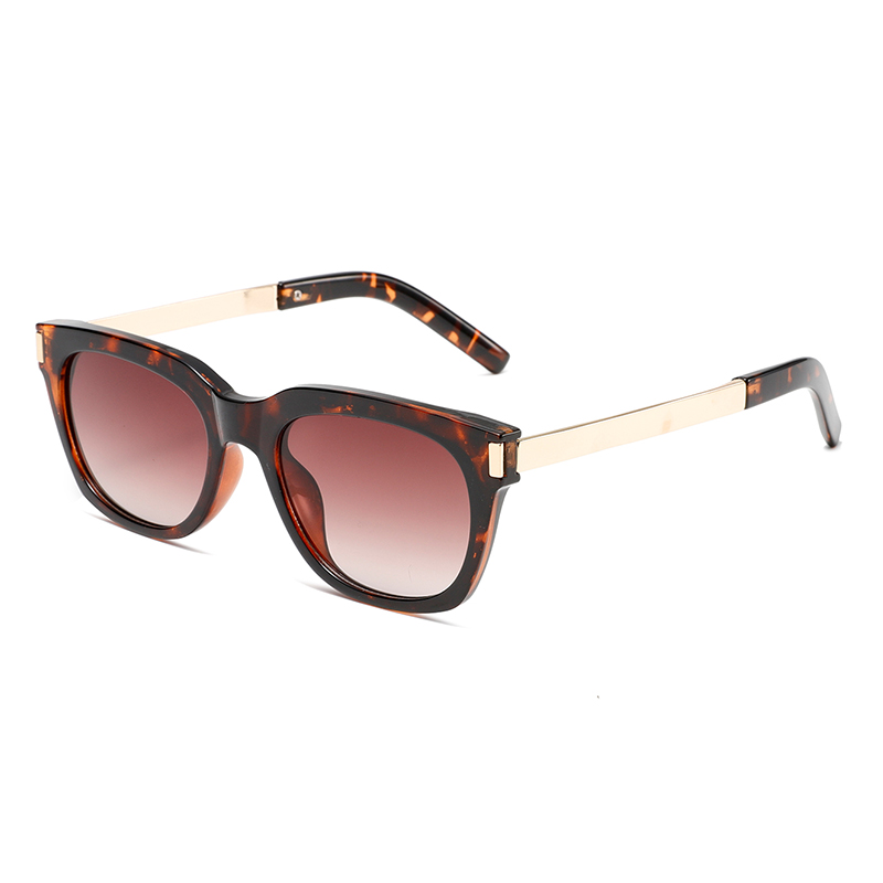 C5: Tortoise/ Brown Gradient
