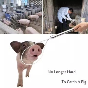 畜産管理と畜産スキルにおける新しい状態の精密豚ハンドラー鋼機器比類のない速度