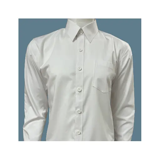 Heren Mode Premium Hoge Kwaliteit 100% Katoen Gemakkelijk Te Onderhouden Lange Mouw Effen Kleur Jurk Shirt Voor Mannen
